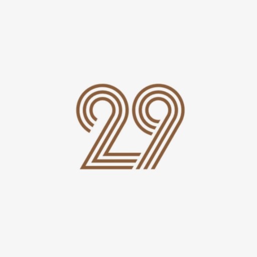 29 logo