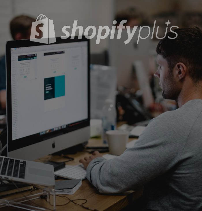 Shopify Plus enterprise support team